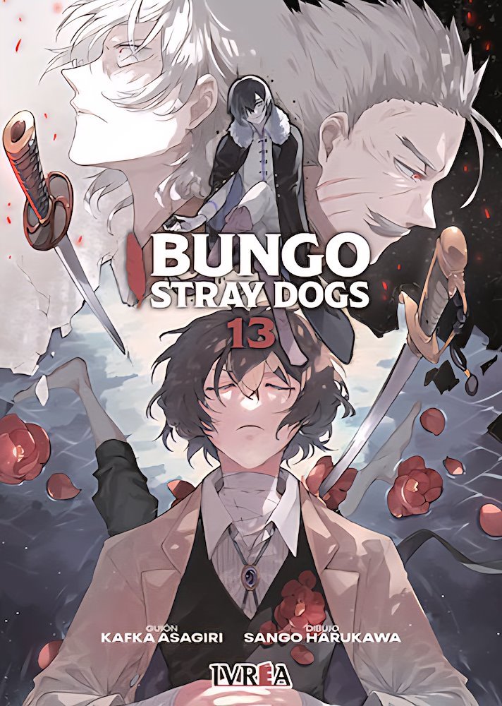 Bungo Stray Dogs 13 (Bungo Stray Dogs manga, #25-26)
