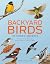 Backyard Birds of North America: A Guide to Identifying and Attracting Your Favorite Birds