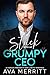 Stuck with My Grumpy CEO: A Forced Proximity Off-limits Workplace Romance