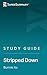 Study Guide: Stripped Down by Bunnie Xo (SuperSummary)