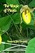 The Magic of Plants by Jan Chronister