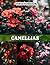 Camellias Photography Book: A Captivating Collection Featuring Elegant Camellia Blooms For Artistic Inspiration And Home Decor
