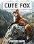 Picture Book of Cute Fox: P...