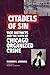 Citadels of Sin: Vice Distr...