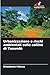 Urbanizzazione e rischi ambientali sulle colline di Yaoundé (Italian Edition)