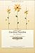 Large Print Garden Puzzles for Seniors: Sudoku and Word Search Volume 1 Medium Edition: 70 Large Print Garden Themed Puzzles with Complete Answers for ... Search for Seniors: Brain-Boosting Puzzles)