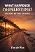 What Happened to Palestine:...