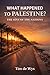 What Happened to Palestine: The Sins of the Nations