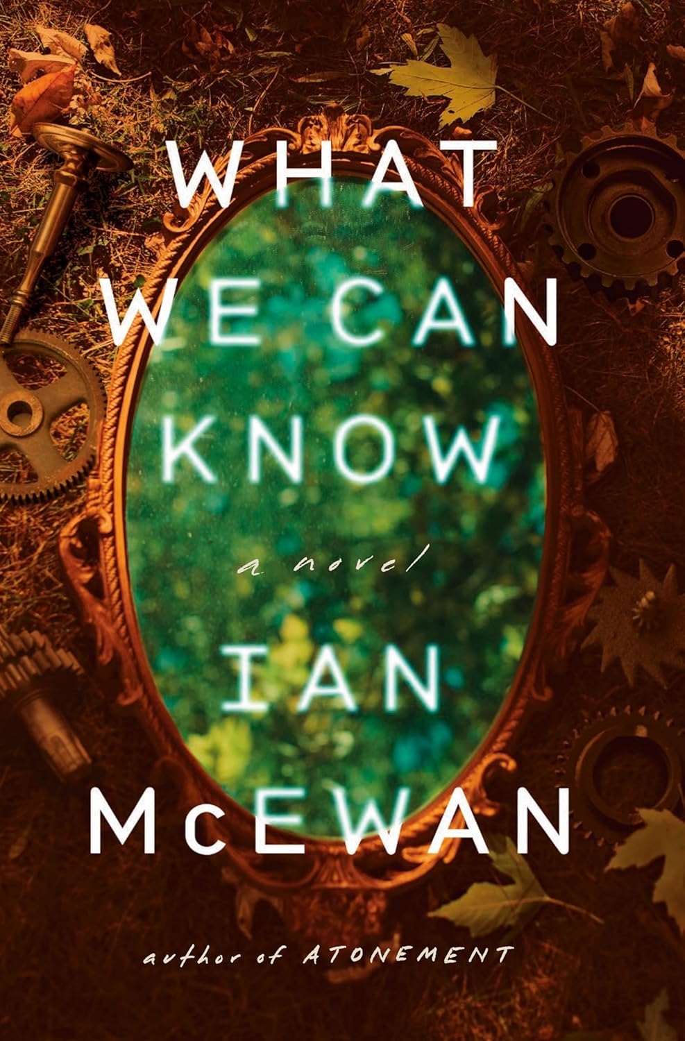 What We Can Know (Hardcover)