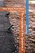 The language of the Sparrows 2: Hear them Trust them