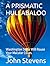A PRISMATIC HULLABALOO by John G Stevens