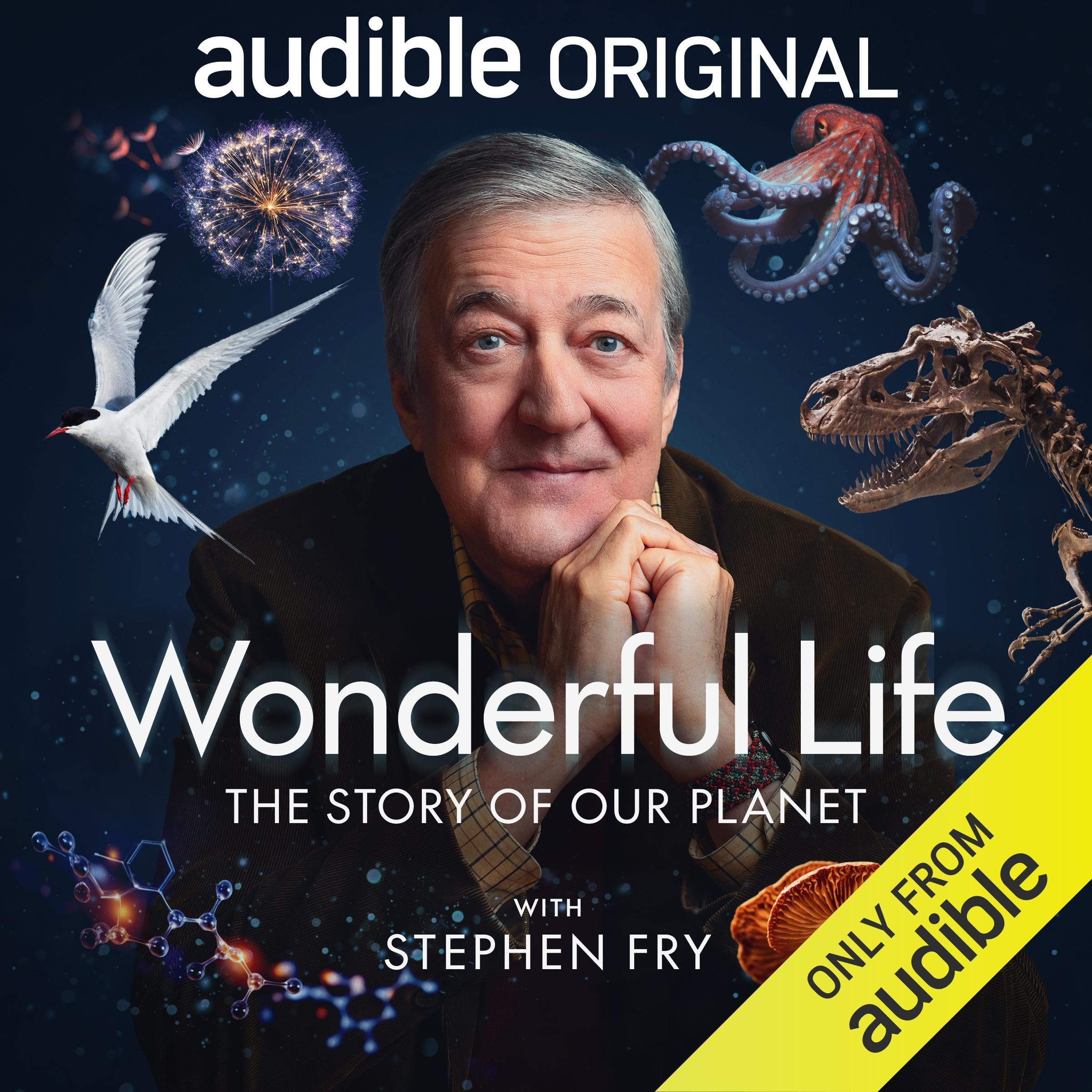 Wonderful Life with Stephen Fry (Audible Audio)