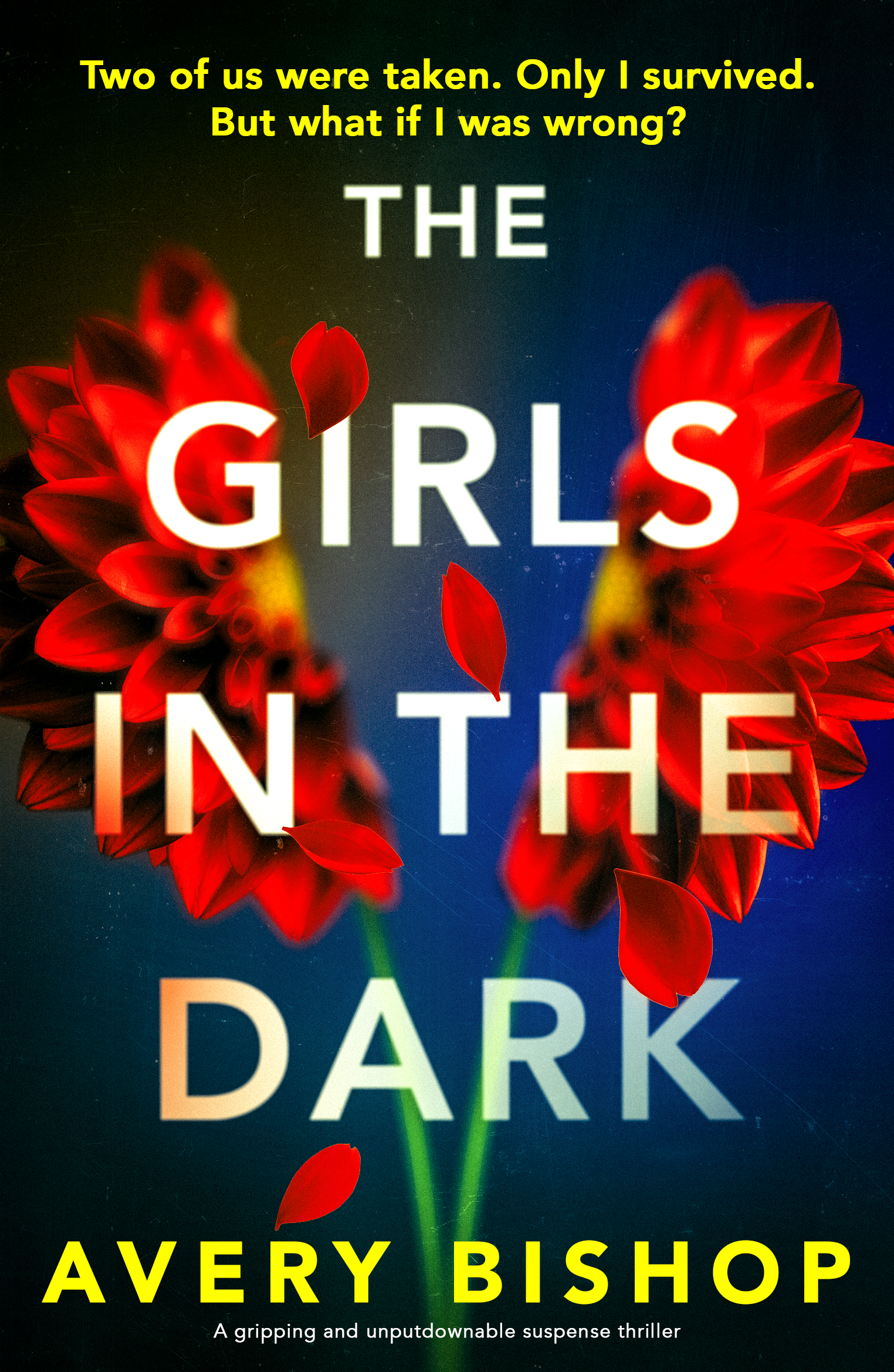 The Girls in the Dark: A gripping and unputdownable suspense thriller