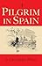 Pilgrim In Spain