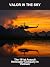 Valor In The Sky: The 191St...