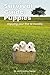 Survival Guide for Puppies: Enjoying your first 12 months