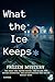 What the Ice Keeps: A Novel of Secrets, Snow, and the Warmest Suspect