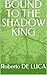 BOUND TO THE SHADOW KING