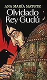 Book cover for Olvidado Rey Gudú