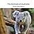 The Animals of Australia: The Dr. Barb Series