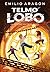 Telmo Lobo 3 - La aventura contra el tiempo (Spanish Edition)