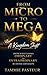 FROM MICRO TO MEGA: A Kingdom Shift From What Looks Ordinary To Extraordinary By Divine Expansion