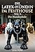 Die Latex-Hündin im Penthouse – Teil 3: Die Hundeschule (German Edition)