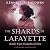 Strands of Fire by Kenneth A. Baldwin Strands of Fire by Kenneth A. Baldwin