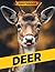 Deer Photo Book: Majestic Wildlife Photography Showcasing Elegant Forest Creatures In Natural Habitats, Perfect For Animal Enthusiasts And Home Decor