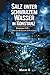 Salz unter schwarzem Wasser in Konstanz: Konstanz 2100 – Wenn der Bodensee beginnt, sich zu erinnern und Menschen zu holen (Metropolen im Schatten 89) (German Edition)