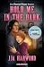 Hold Me in the Dark: Roman