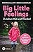 Big Little Feelings: Zwischen Wut und Wunder! Die Lösung für alle Fragen von Kleinkindeltern - Weniger Streit, starke Nerven, entspannter Alltag. Für Eltern von Kleinkindern ab 1 Jahr (German Edition)