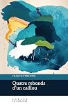 Quatre rebonds d'un caillou by France Cyrenne