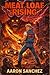 Meat Loaf Rising: A Midnigh...