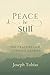 Peace Be Still: 100 Prayers for Anxious Hearts