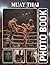 Muay Thai Photobook: The 40 Photos Of Martial Arts Sparring And Traditional Fighting Techniques For Relaxation