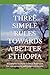 THREE SIMPLE RULES TOWARDS A BETTER ETHIOPIA: A Complex Systems Science Approach for a progressive and Coherent Society