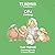 Ofu: Learn Samoan Upu - Clothing (Te Kōhua Creations - Learn Samoan Upu)