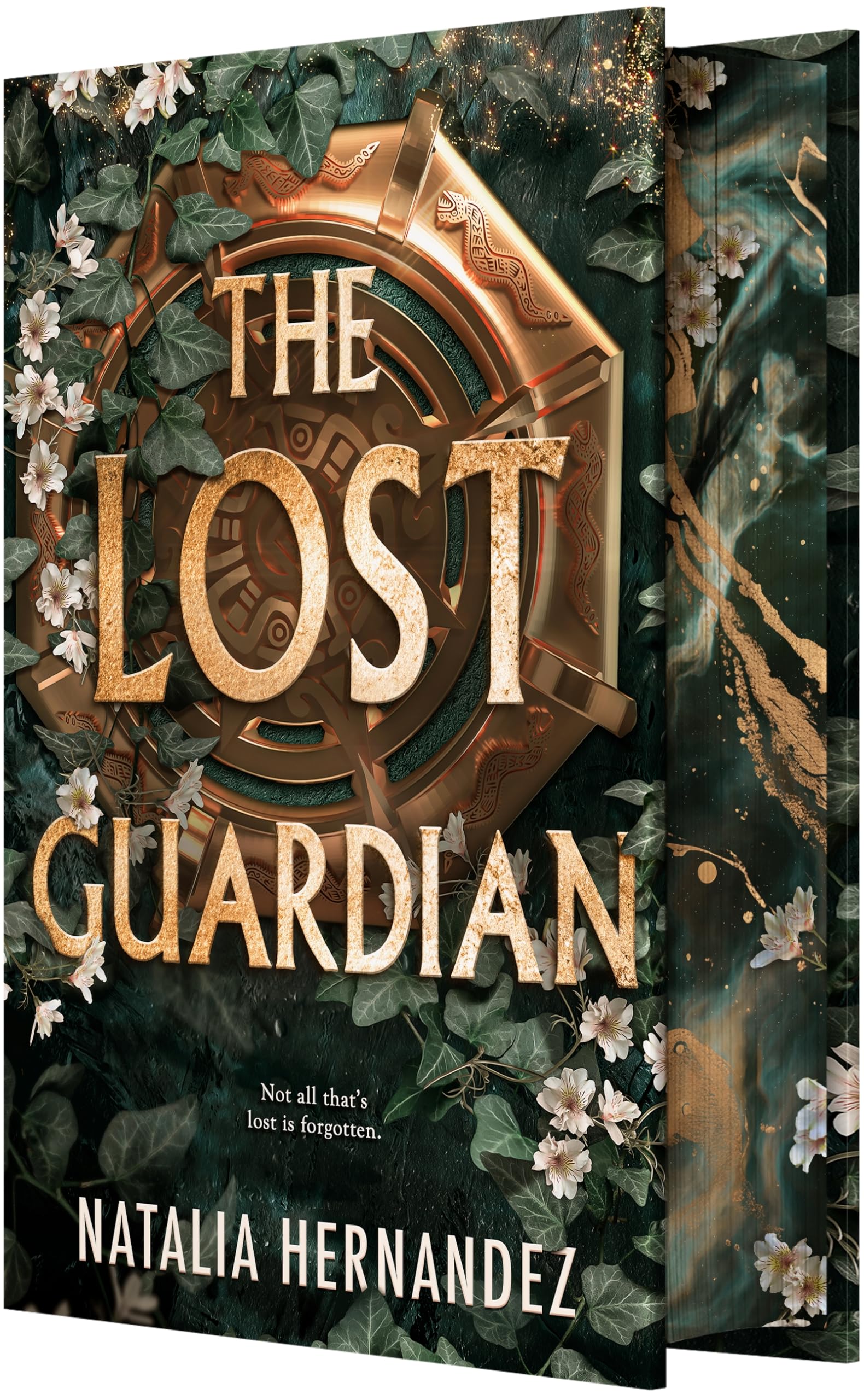 The Lost Guardian (Hardcover)