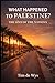 What Happened to Palestine: The Sins of the Nations