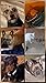 Insights Into Our Canine Companions: Memoirs of a Dog Sitter