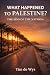 What Happened to Palestine by Tim de Wys