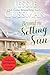 Além do Sol Poente (Serra das Framboesas 6) (Serra das Framboesas (Brazilian Portuguese translation of Raspberry Ridge)) (Portuguese Edition)