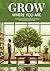 GROW WHERE YOU ARE: The Bridge & Beyond Guide to Growing Food Indoors Year-Round