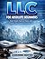 LLC FOR ABSOLUTE BEGINNERS: Start Smart, Save on Taxes, and Protect Your Income from Day One