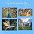 My Life Photographing Nature (Bitman Photography)