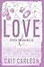 Love and Other Emergencies (The North River Series)