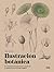 Ilustración botánica: Un manual para aprender a observar y representar el mundo vegetal | Posar nuestra mirada en el mundo de las plantas es descubrir ... texturas maravillosas. (Spanish Edition)
