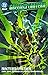 Green Lantern, Vol. 5: Frac...