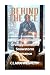 Behind the Ice: A Steamy Billionaire Grumpy Sunshine Snowstorm Romance